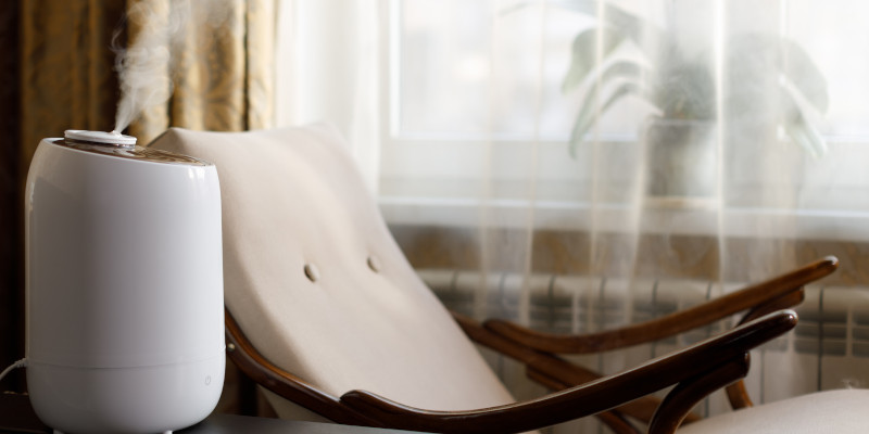 Humidifiers in The Blue Mountains, Ontario