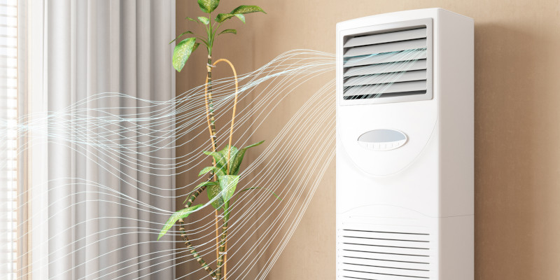 Air Filtration in The Blue Mountains, Ontario